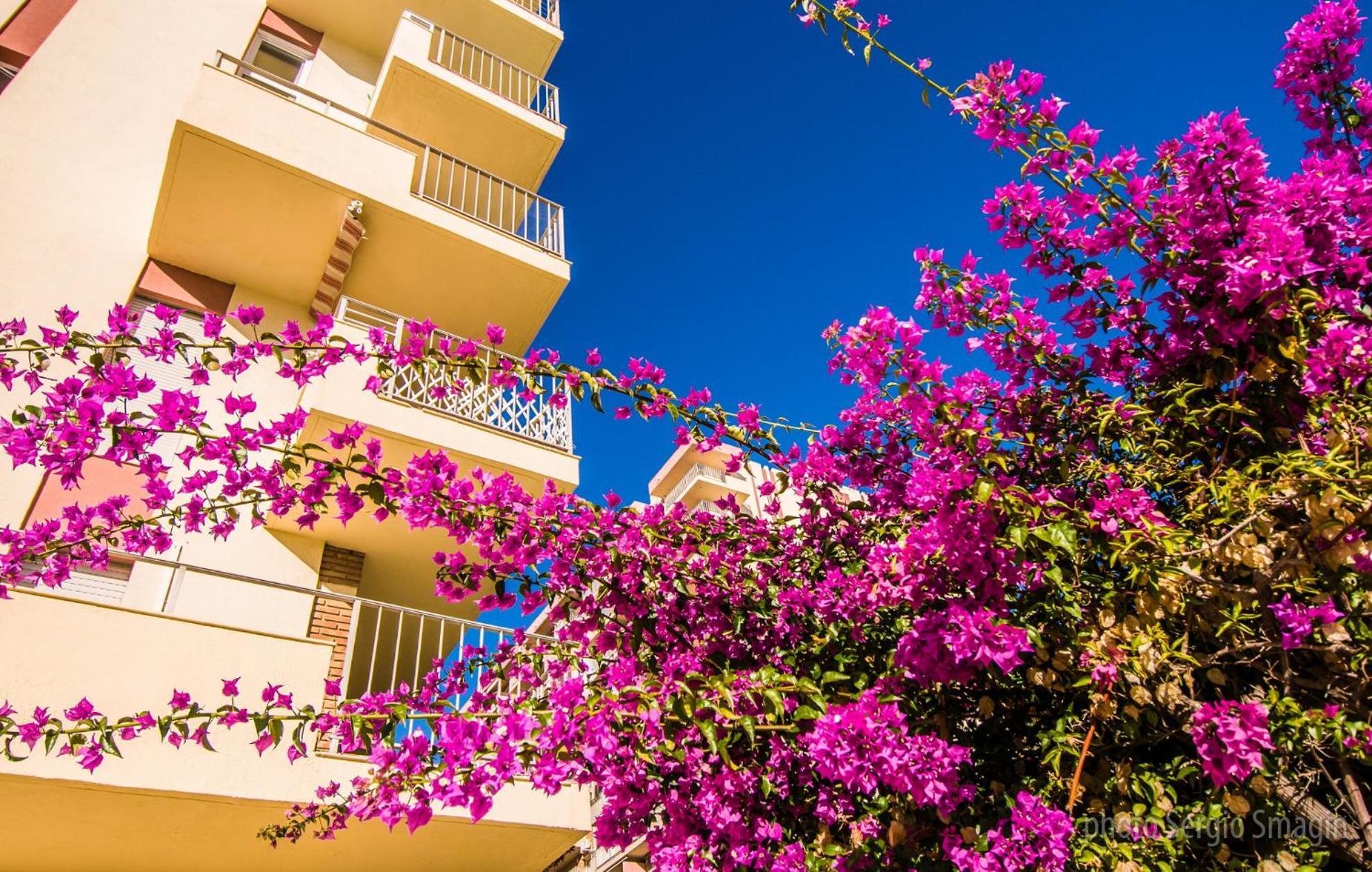426 Estudio En Minerva Apartamentos - Vista Al Jardin - Piscina Y Playa Benalmádena Eksteriør bilde