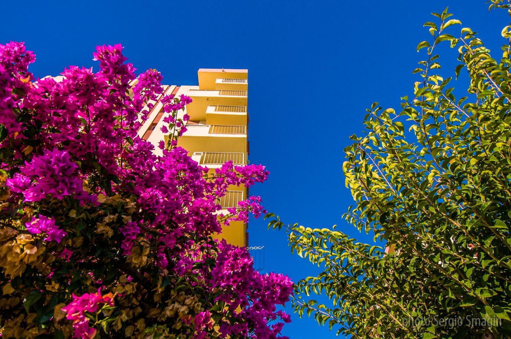 426 Estudio En Minerva Apartamentos - Vista Al Jardin - Piscina Y Playa Benalmádena Eksteriør bilde