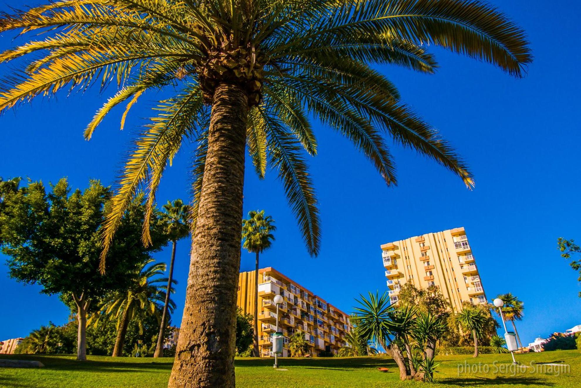 426 Estudio En Minerva Apartamentos - Vista Al Jardin - Piscina Y Playa Benalmádena Eksteriør bilde